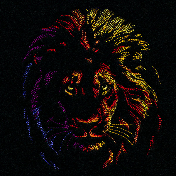 Rainbows & Mystery - Lion Head
