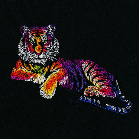 Rainbows & Mystery Lounging Tiger