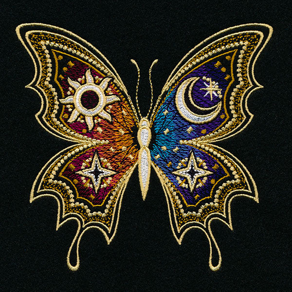 From Day to Night Butterfly