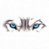 Fierce Wolf Eyes