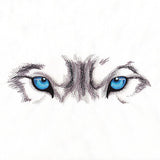 Fierce Wolf Eyes