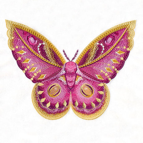 Winged & Beautiful