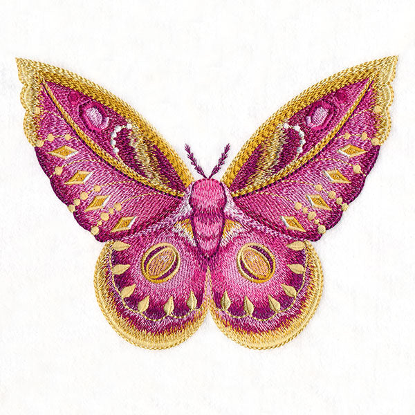 Winged & Beautiful