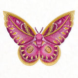 Winged & Beautiful
