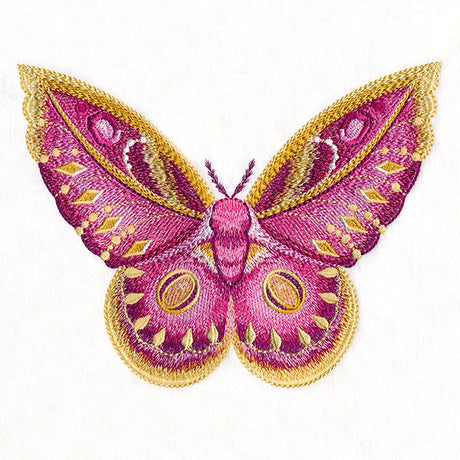 Winged & Beautiful