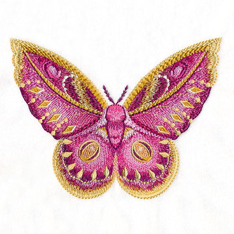Winged & Beautiful