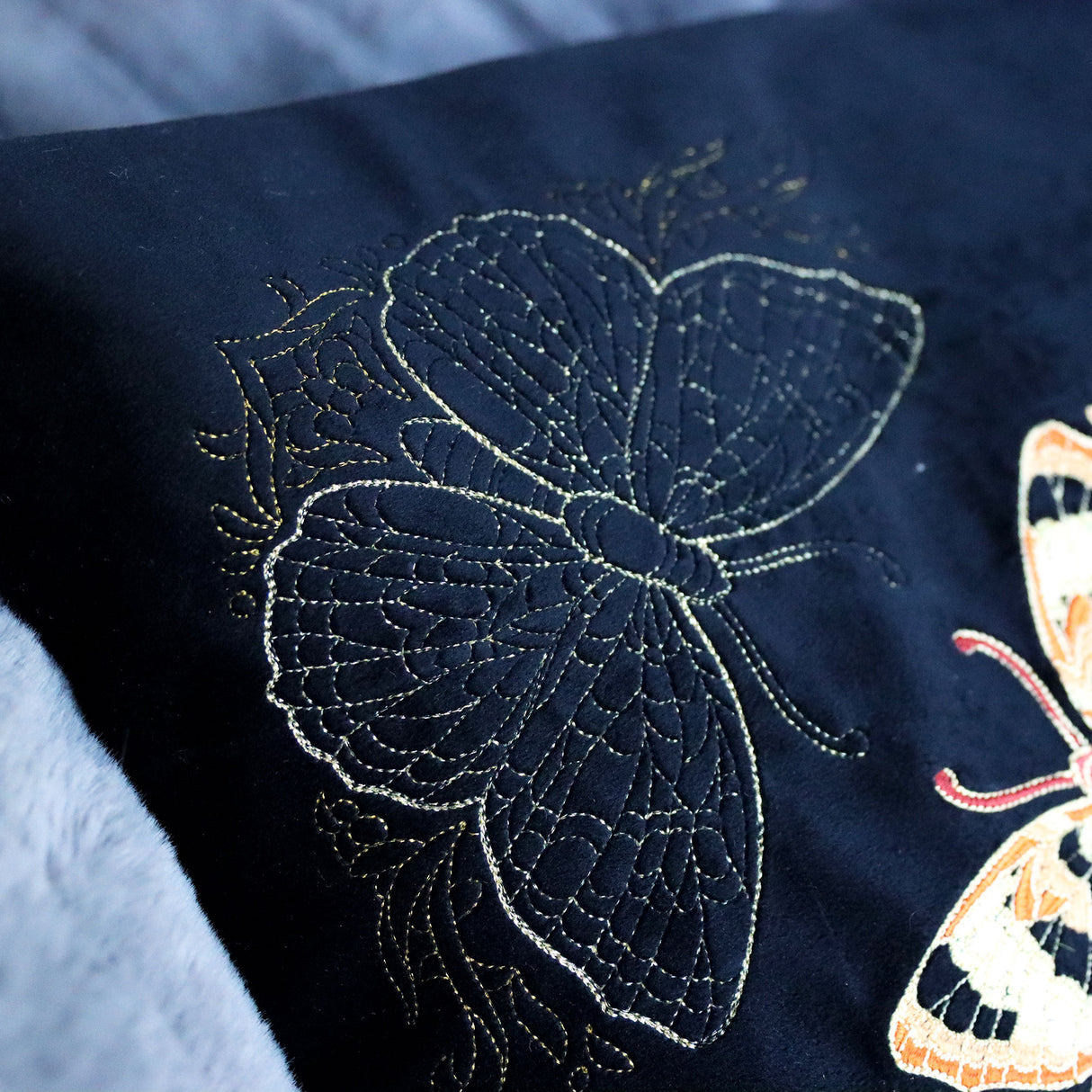 Delicate & Fancy Butterfly