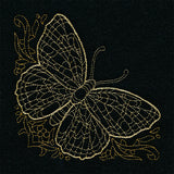 Delicate & Fancy Butterfly