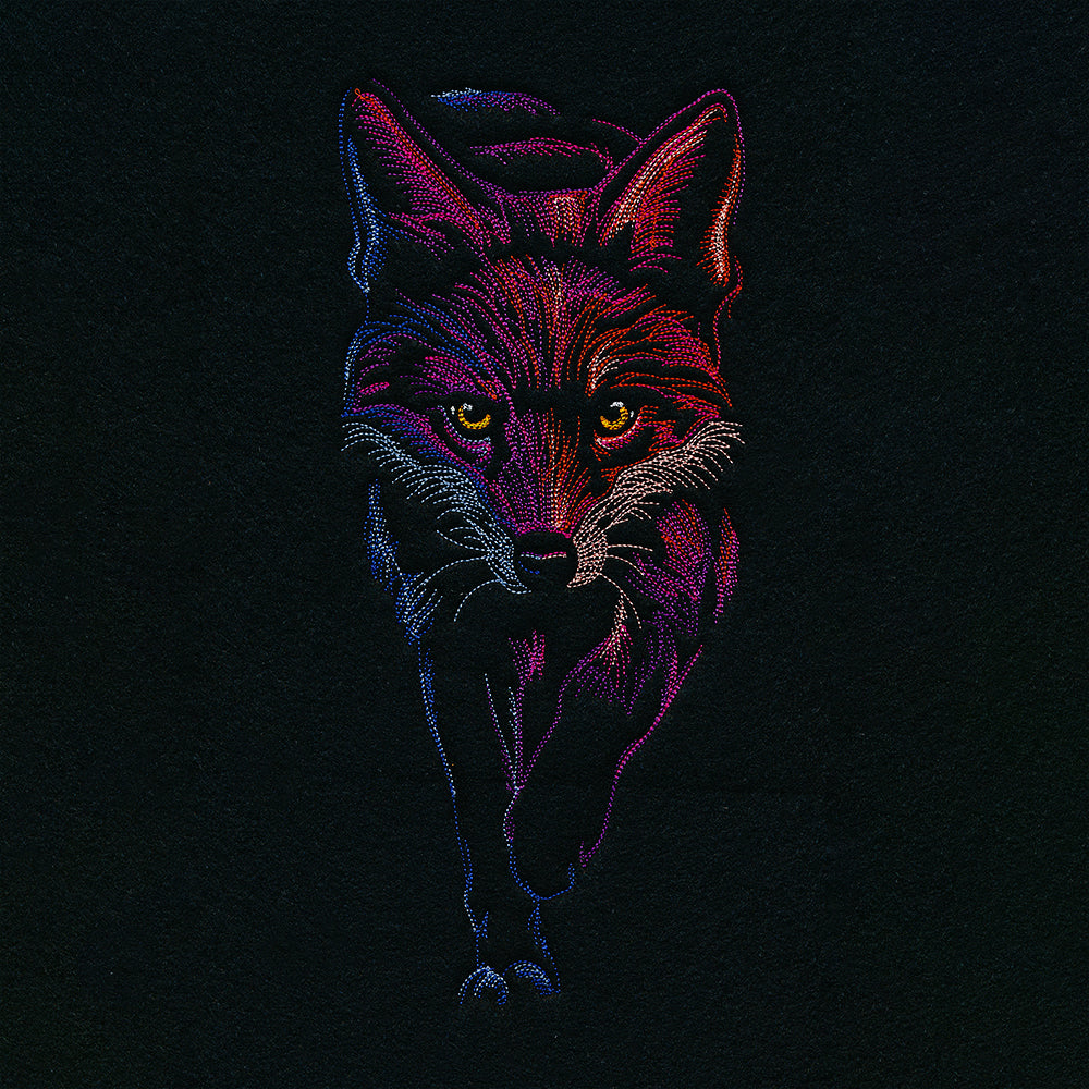 Midnight Fox