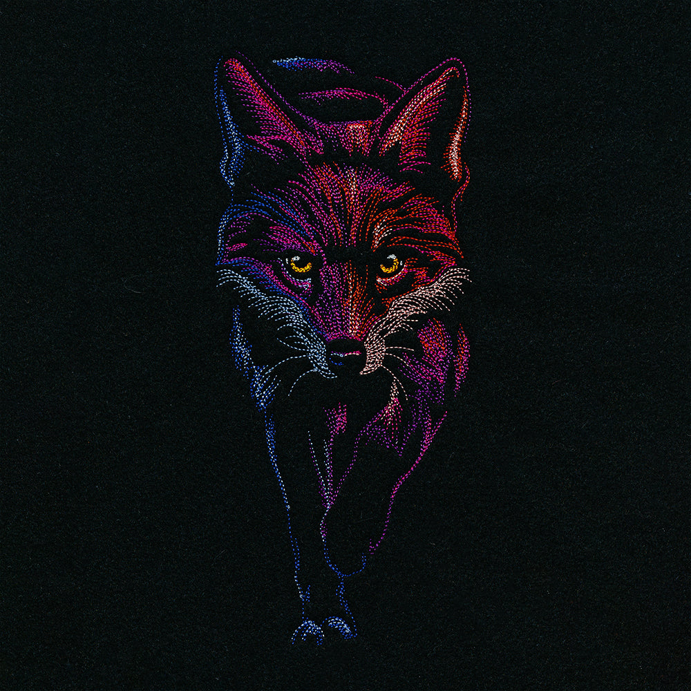 Midnight Fox