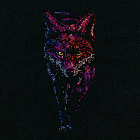 Midnight Fox