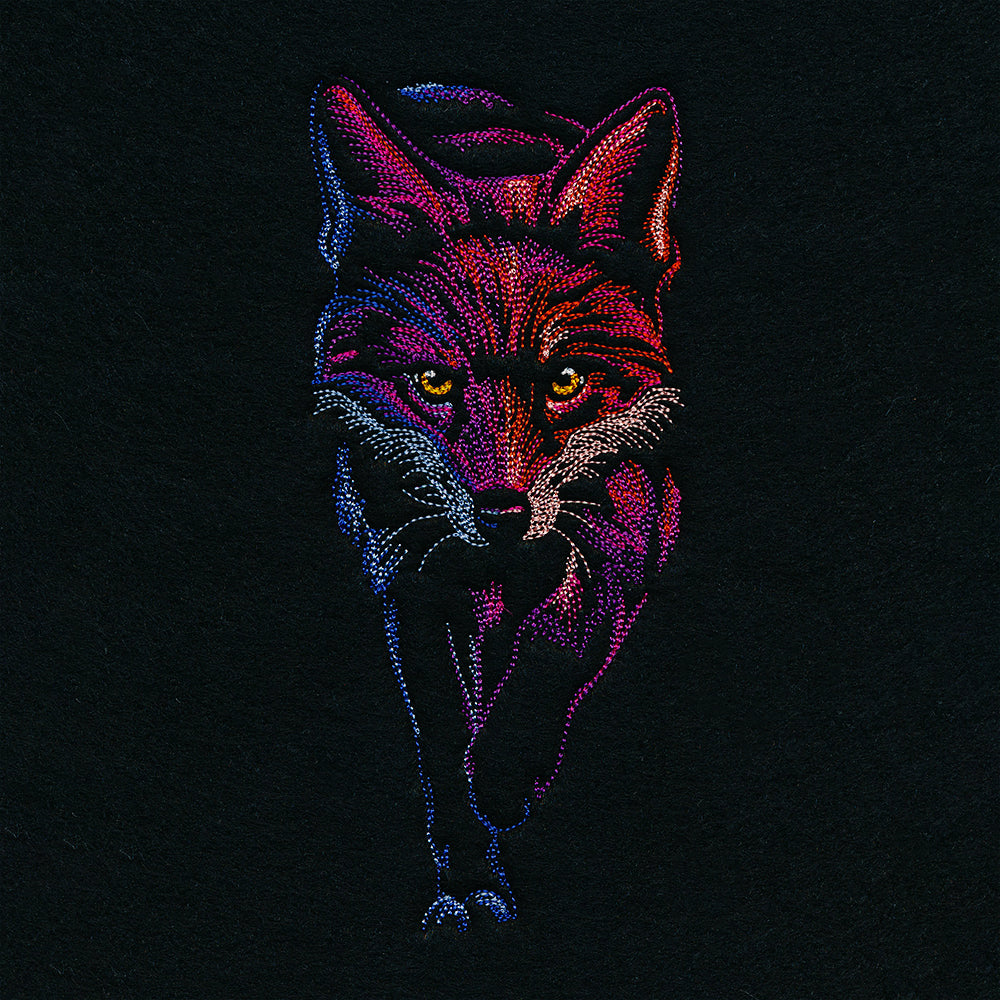 Midnight Fox