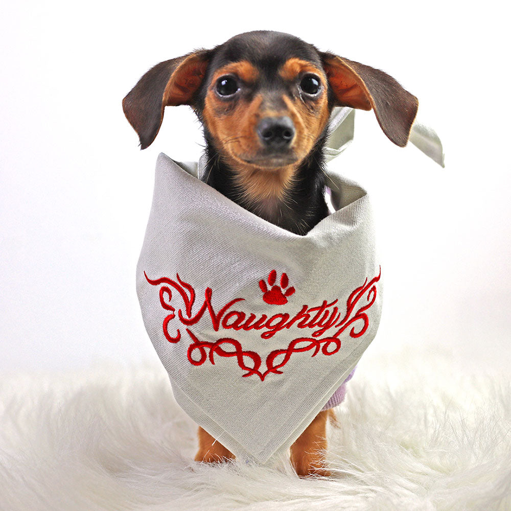 Naughty Pet Bandana