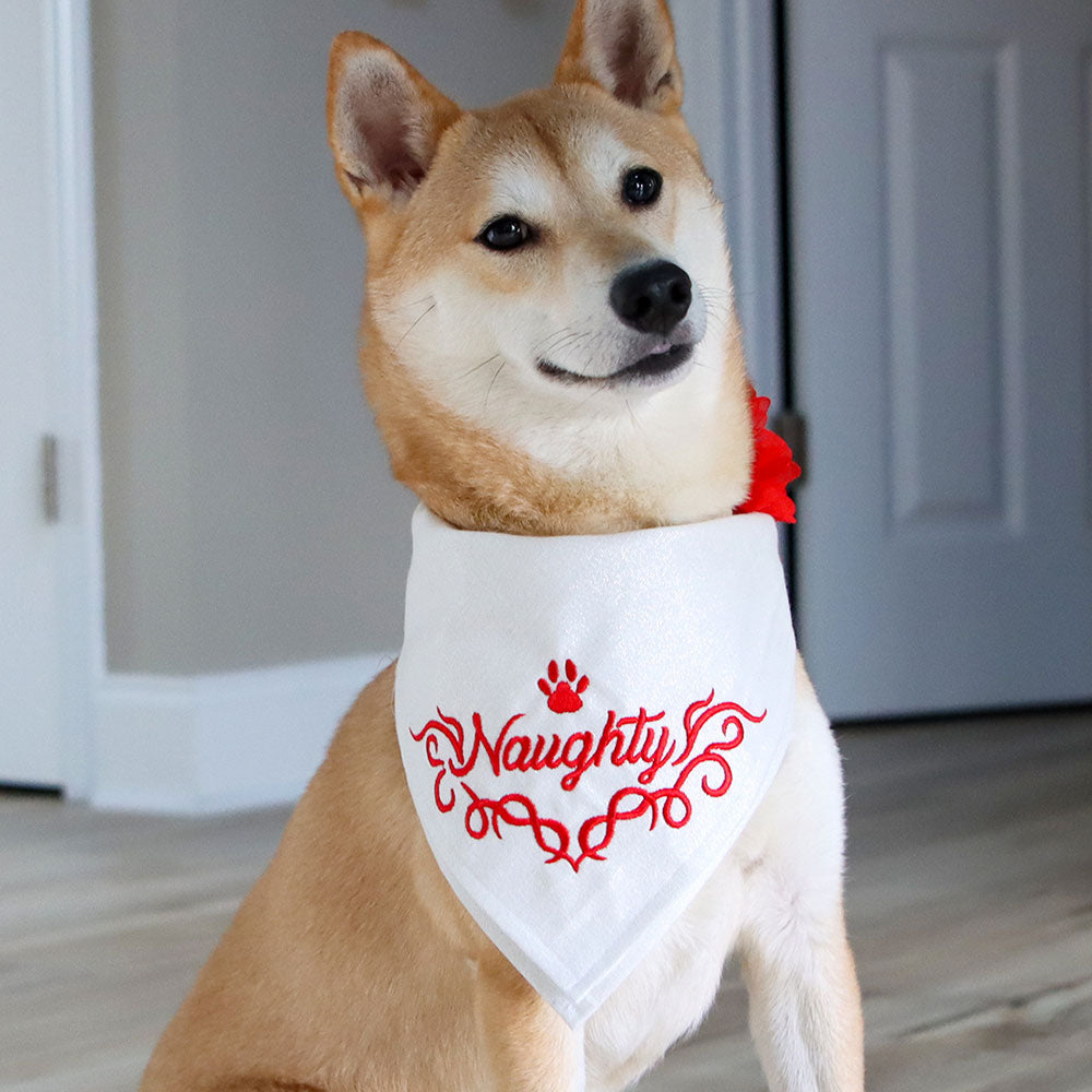Naughty Pet Bandana