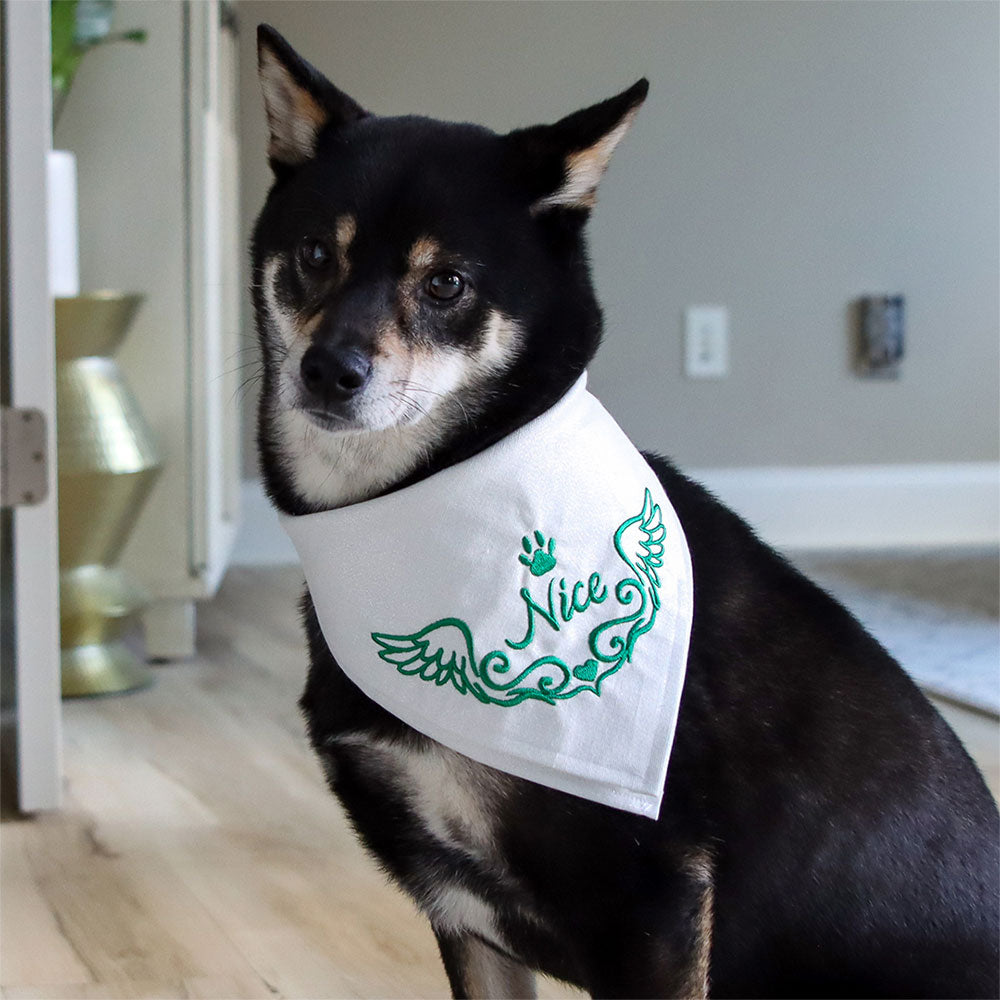 Nice Pet Bandana