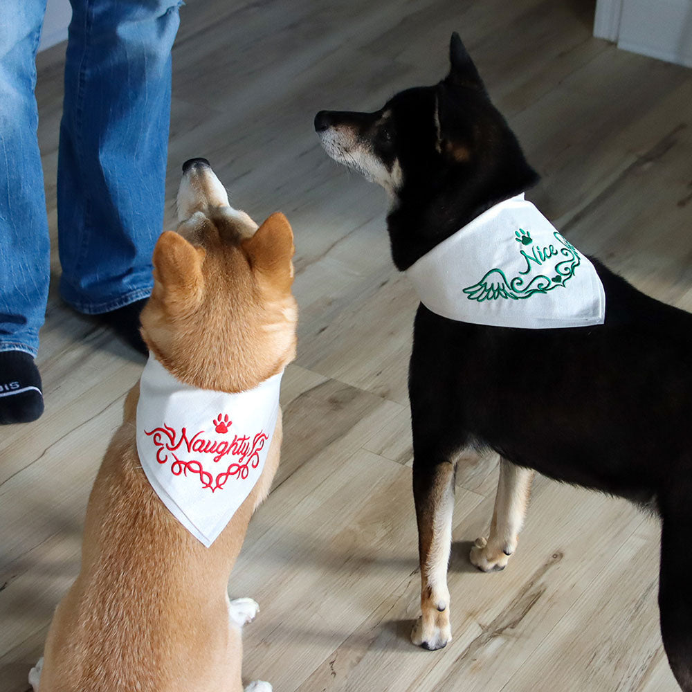 Nice Pet Bandana