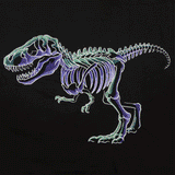 Emerging T-Rex Skeleton
