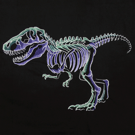 Emerging T-Rex Skeleton