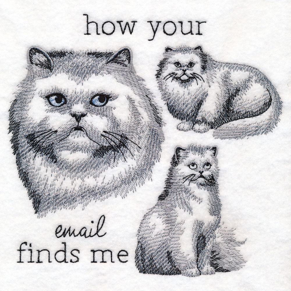 Made to Misbehave - Your Email Finds Me