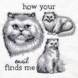 Made to Misbehave - Your Email Finds Me