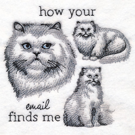 Made to Misbehave - Your Email Finds Me