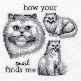 Made to Misbehave - Your Email Finds Me