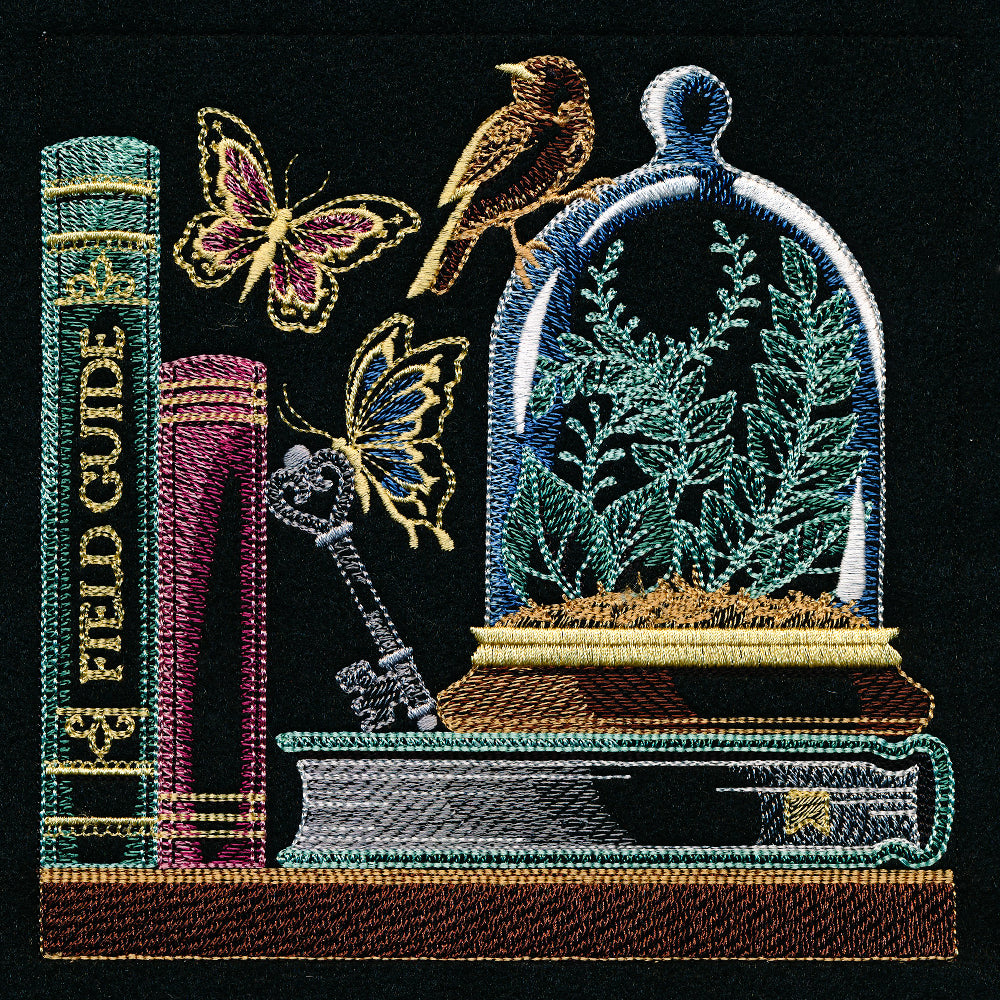 Build a Bookshelf Scene - Nature's Treasures