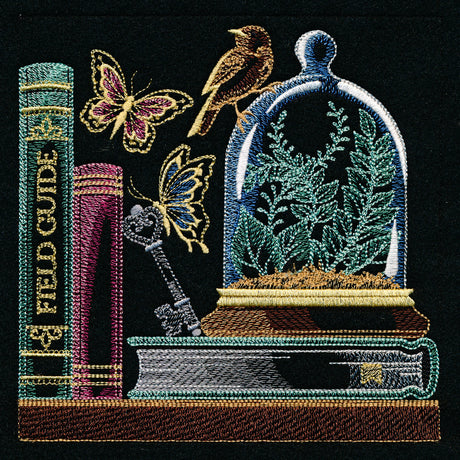 Build a Bookshelf Scene - Nature's Treasures