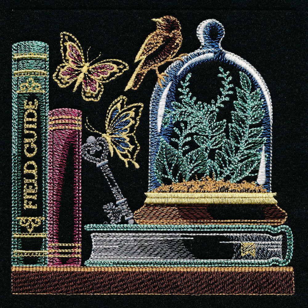 Build a Bookshelf Scene - Nature's Treasures
