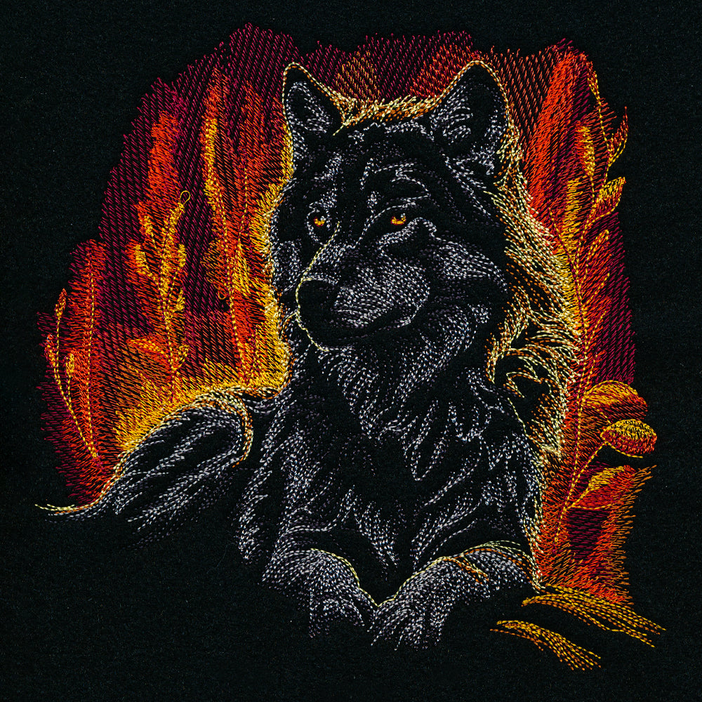 Autumn Glow Wolf