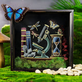 Build a Bookshelf Scene - Scientific Exploration