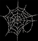 Ethereal Spiderweb
