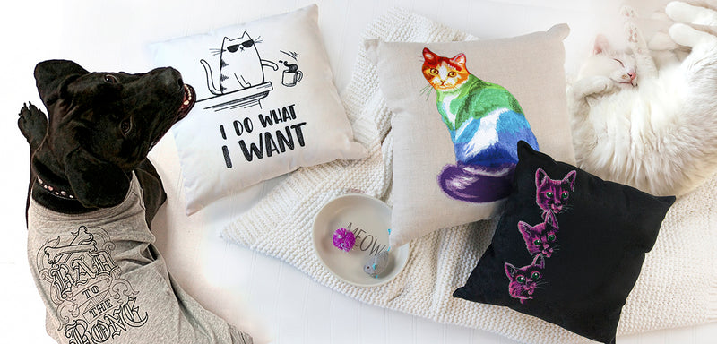 Machine embroidered dog and cat-themed pillows on a couch with a dog wearing a sweater.