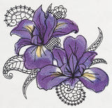 Petals and Lace - Iris