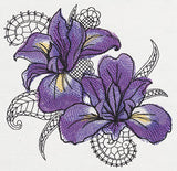 Petals and Lace - Iris