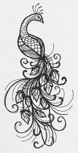 Inked Peacock