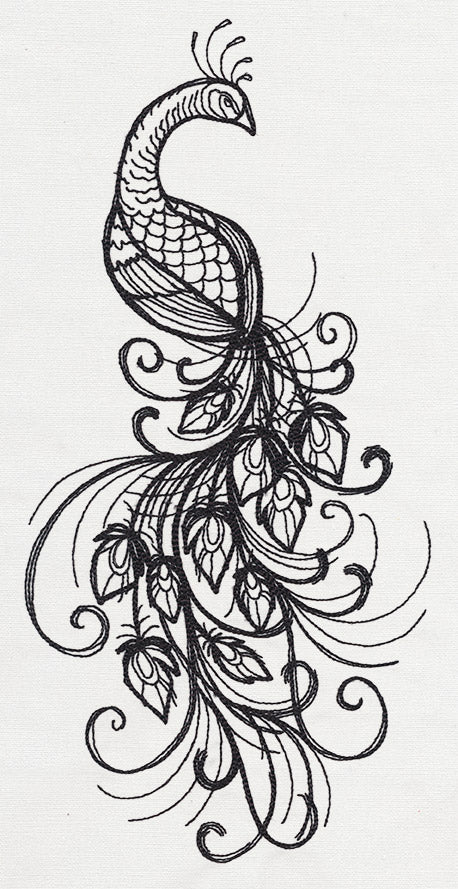 Inked Peacock