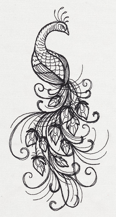 Inked Peacock