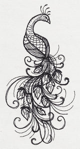 Inked Peacock