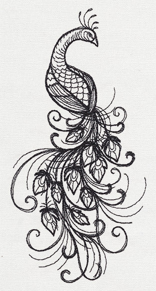 Inked Peacock