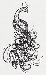Inked Peacock