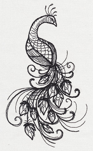Inked Peacock