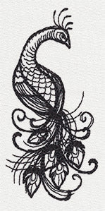 Inked Peacock