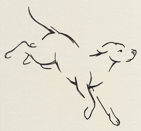 The Menagerie - Pouncing