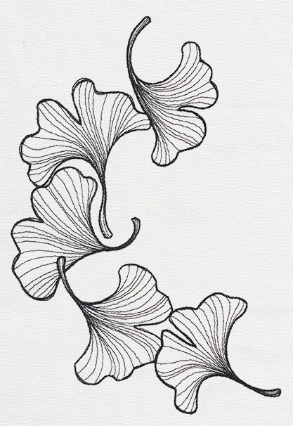 Engraved Ginkgo