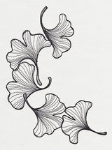 Engraved Ginkgo