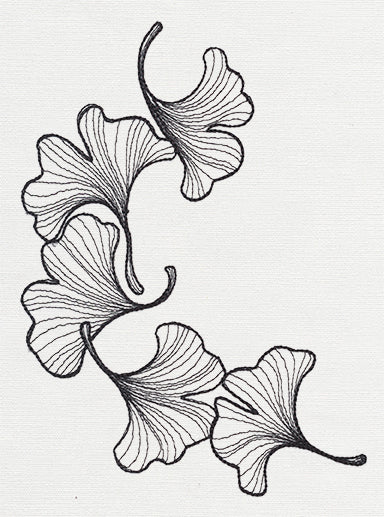 Engraved Ginkgo