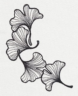 Engraved Ginkgo