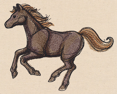 Wild Horse