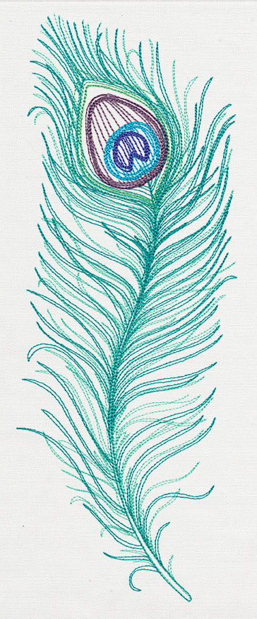 Peacock Quill